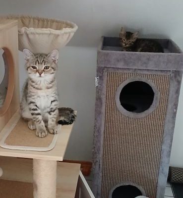 Flauschi-02