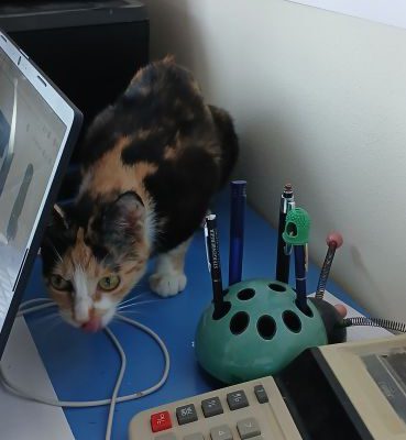 Pippa-03